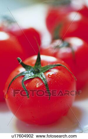 Tomatoes on tile, Differential Focus, Close Up View Large Photo Image Stock Image - Tomatoes on tile, Differential Focus, Close Up. Fotosearch
