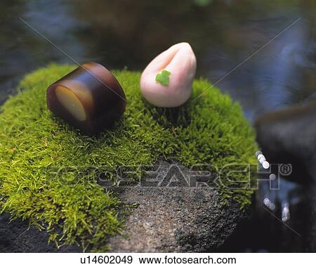 Kuriyokan and shi on rock, high angle view, Differential Focus. View Large Photo Image Stock Photo - Kuriyokan and shi on rock, high angle view, Differential Focus. . Fotosearch
