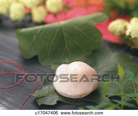 Stock Photograph - shi called Kashiwamochi, Japanese sweet on leaf, flowers visible in background, Differential Focus. Fotosearch