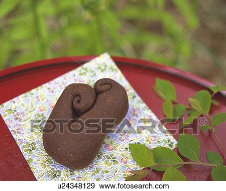 Stock Photo - shi called Kinakomochi on Japanese paper, Differential Focus. Fotosearch