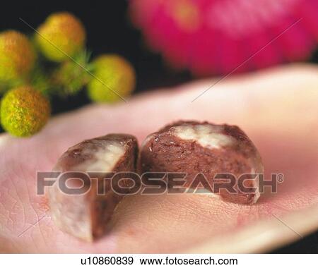 shi called Kintsuba, halves Kintsuba on tray, flowers visible in background, Differential Focus View Large Photo Image Stock Photo - shi called Kintsuba, halves Kintsuba on tray, flowers visible in background, Differential Focus. Fotosearch