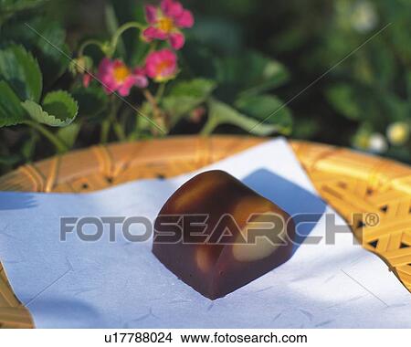 shi called Kuriyokan on Japanese paper, flower in background, Differential Focus. View Large Photo Image Picture - shi called Kuriyokan on Japanese paper, flower in background, Differential Focus. . Fotosearch