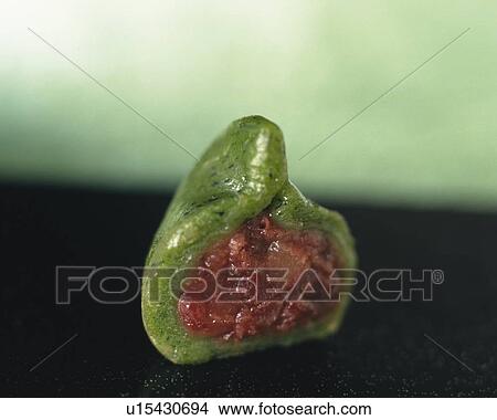 Picture - shi called Kusadaihuku, Close Up, Differential Focus. Fotosearch