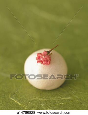 shi called Manjyu, Japanese Sweet with flower head, Differential Focus View Large Photo Image Stock Photo - shi called Manjyu, Japanese Sweet with flower head, Differential Focus. Fotosearch