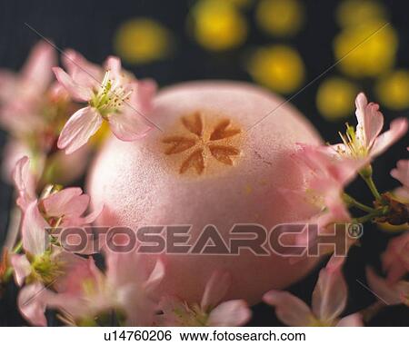 shi called Manjyu with flower heads, yellow petal visible in background, Differential Focus View Large Photo Image Stock Photograph - shi called Manjyu with flower heads, yellow petal visible in background, Differential Focus. Fotosearch
