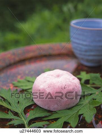 shi called Umedaihuku, Japanese sweet on leaf, cup visible in background, high angle view, Differential Focus View Large Photo Image Stock Image - shi called Umedaihuku, Japanese sweet on leaf, cup visible in background, high angle view, Differential Focus. Fotosearch