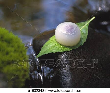 Stock Image - shi, Japanese sweets, Mizumanjyu on leaf, high angle view, Differential Focus. Fotosearch