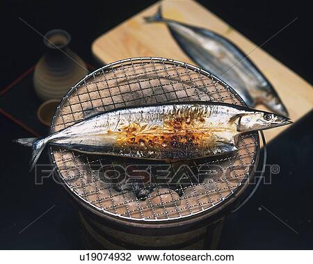 Closed Up Image of a Grilled Saury on a Traditional Japanese Grill, High Angle View, Differential Focus View Large Photo Image Stock Image - Closed Up Image of a Grilled Saury on a Traditional Japanese Grill, High Angle View, Differential Focus. Fotosearch