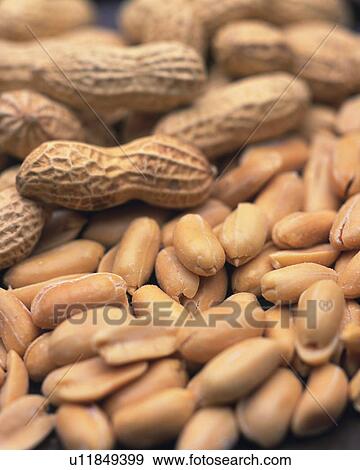 Stock Photo - Closed Up Image of a Large Group of Peanuts, High Angle View. Fotosearch