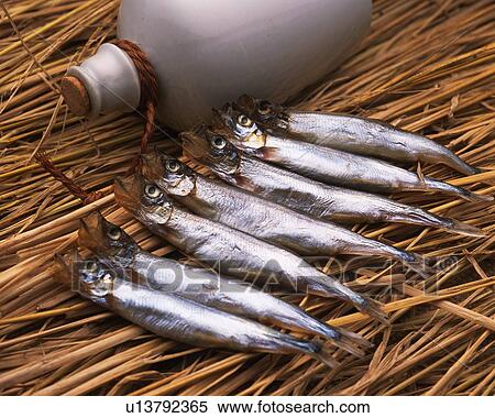 Closed Up Image of Several Little Fish Next to a Bottle of Sake on Some Straw, High Angle View View Large Photo Image Stock Photography - Closed Up Image of Several Little Fish Next to a Bottle of Sake on Some Straw, High Angle View. Fotosearch