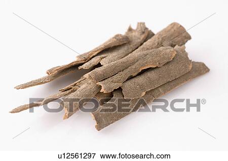 Close-up of a heap of Cinnamon View Large Photo Image Stock Photo - Close-up of a heap of Cinnamon. Fotosearch