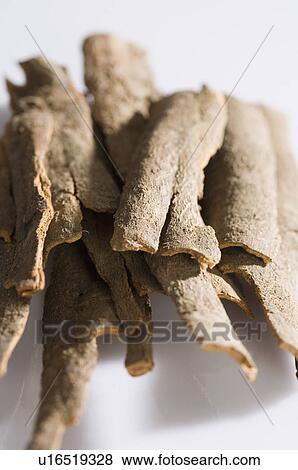 Close-up of a heap of Cinnamon View Large Photo Image Stock Photo - Close-up of a heap of Cinnamon. Fotosearch