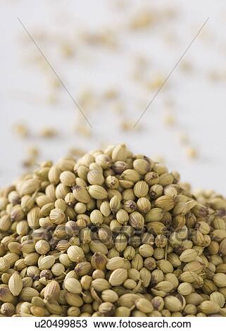Stock Image - Close-up of a heap of Condiment seeds. Fotosearch