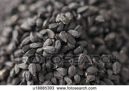 Stock Image - Close-up of Black Caraway seeds. Fotosearch