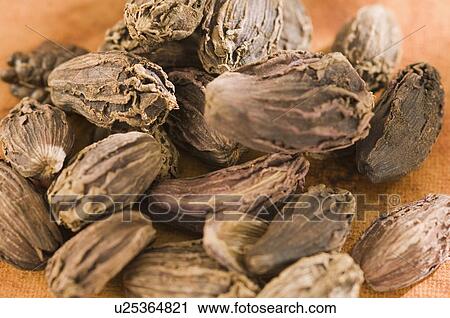 Close-up of Black Cardamoms View Large Photo Image Stock Image - Close-up of Black Cardamoms. Fotosearch