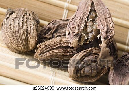 Stock Image - Close-up of Black Cardamoms. Fotosearch