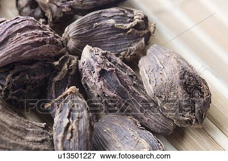 Stock Photo - Close-up of Black Cardamoms. Fotosearch