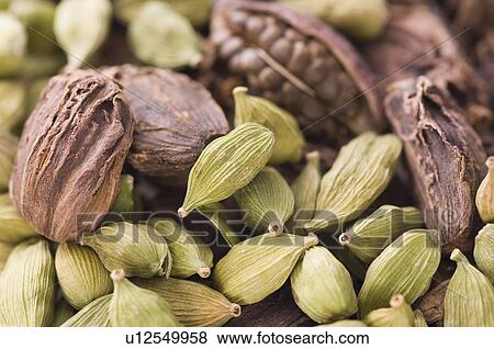 Stock Photo - Close-up of Cardamoms. Fotosearch