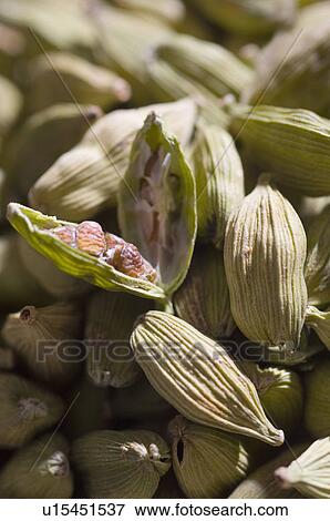 Stock Photo - Close-up of Cardamoms. Fotosearch