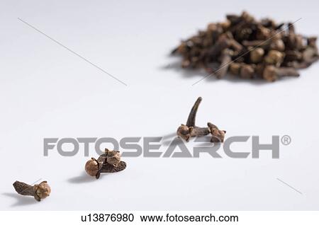 Stock Image - Close-up of cloves. Fotosearch