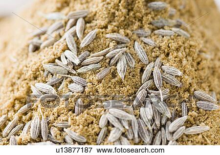 Stock Photo - Close-up of Cumin seeds on Coriander powder. Fotosearch