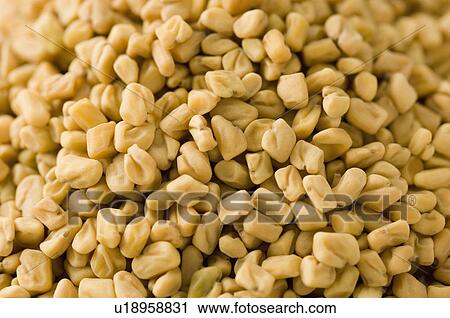 Stock Image - Close-up of Fenugreek seeds. Fotosearch