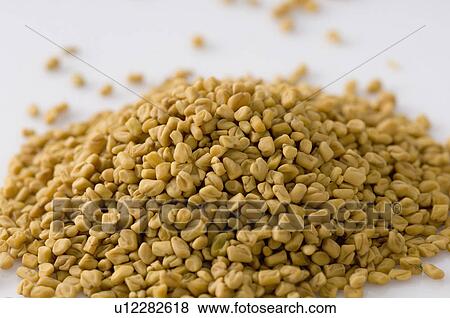 Stock Photo - Close-up of Fenugreek seeds. Fotosearch