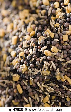 Stock Photo - Close-up of spices. Fotosearch