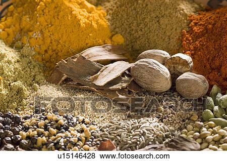 Close-up of spices View Large Photo Image Stock Photo - Close-up of spices. Fotosearch