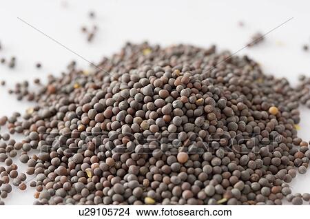Picture - High angle view of a heap of mustard seeds. Fotosearch