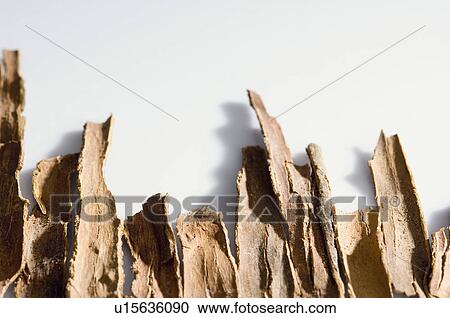 High angle view of Cinnamons sticks View Large Photo Image Stock Image - High angle view of Cinnamons sticks. Fotosearch