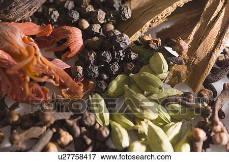Stock Photo - High angle view of spices. Fotosearch