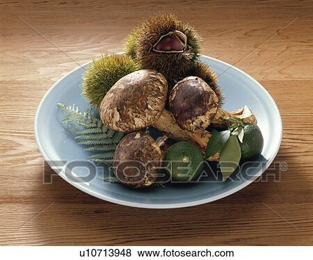 Matsutake, Chestnut View Large Photo Image Stock Photo - Matsutake, Chestnut. Fotosearch