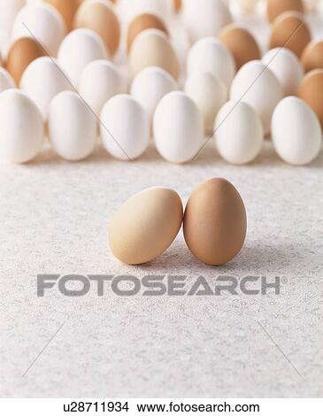 Egg View Large Photo Image Picture - Egg. Fotosearch