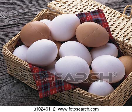 Egg View Large Photo Image Stock Image - Egg. Fotosearch