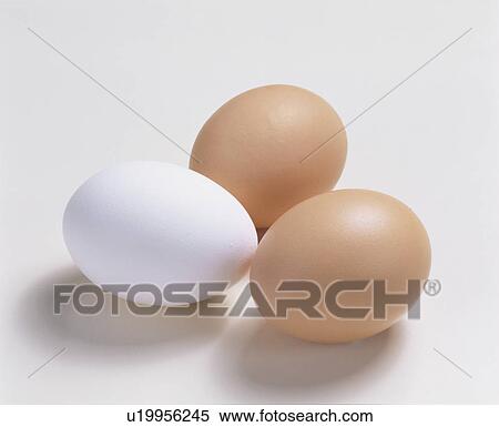 Egg View Large Photo Image Stock Photography - Egg. Fotosearch