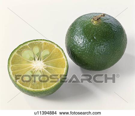Picture - Citrus Depressa. Fotosearch