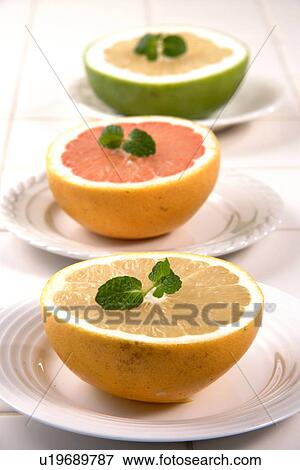 Stock Photo - Citrus Fruits. Fotosearch