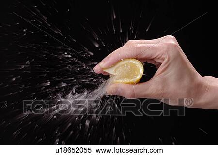 Lemon View Large Photo Image Stock Photography - Lemon. Fotosearch