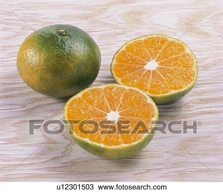 Mandarin Orange View Large Photo Image Stock Image - Mandarin Orange. Fotosearch