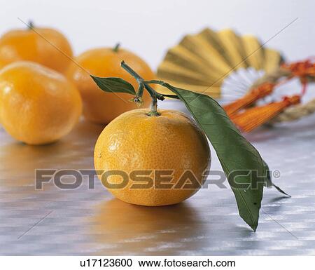 Mandarin Orange View Large Photo Image Stock Image - Mandarin Orange. Fotosearch