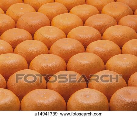 Mandarin Orange View Large Photo Image Stock Photo - Mandarin Orange. Fotosearch