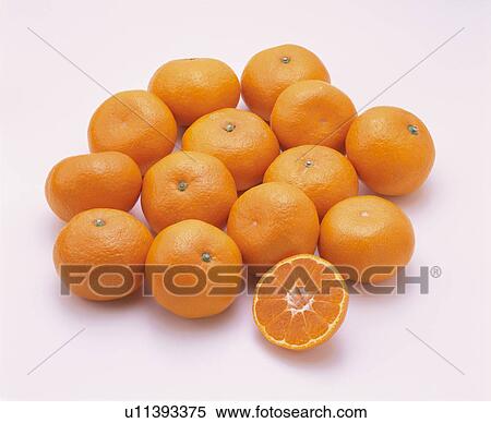 Mandarin Orange View Large Photo Image Stock Photography - Mandarin Orange. Fotosearch
