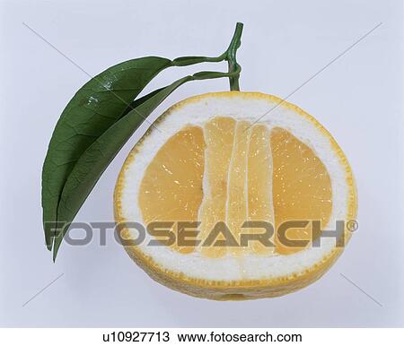 New Summer Orange View Large Photo Image Stock Image - New Summer Orange. Fotosearch