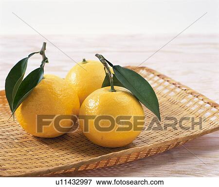 New Summer Orange View Large Photo Image Stock Photo - New Summer Orange. Fotosearch