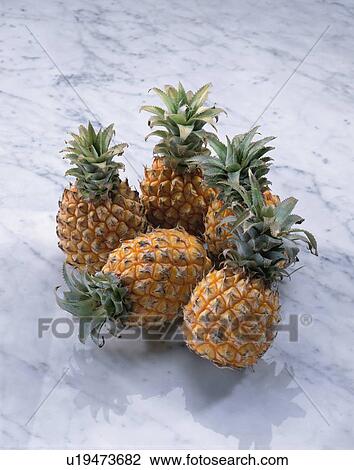 Stock Image - Pineapple, Mini,. Fotosearch