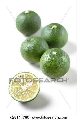 Small Citrus Fruit View Large Photo Image Stock Image - Small Citrus Fruit. Fotosearch