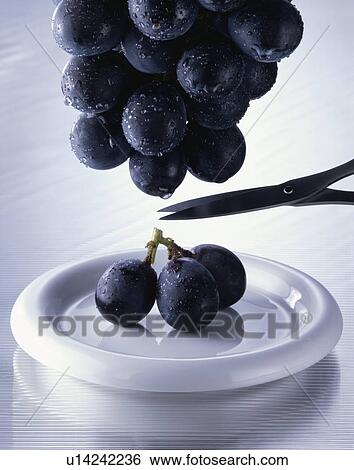 Stock Photograph - Grape, Kyoho,. Fotosearch
