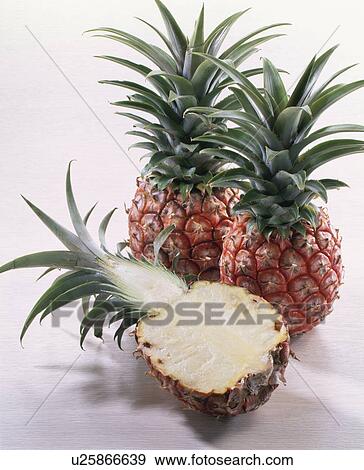 Pineapple View Large Photo Image Stock Photo - Pineapple. Fotosearch