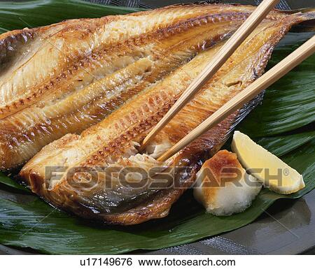 Atka Mackerel View Large Photo Image Stock Photograph - Atka Mackerel. Fotosearch